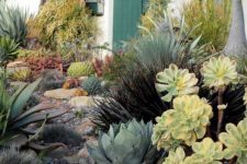 a Spanish style succulent garden with some grasses, cacti, trees and rocks looks gorgeous and will add curb apple to your home