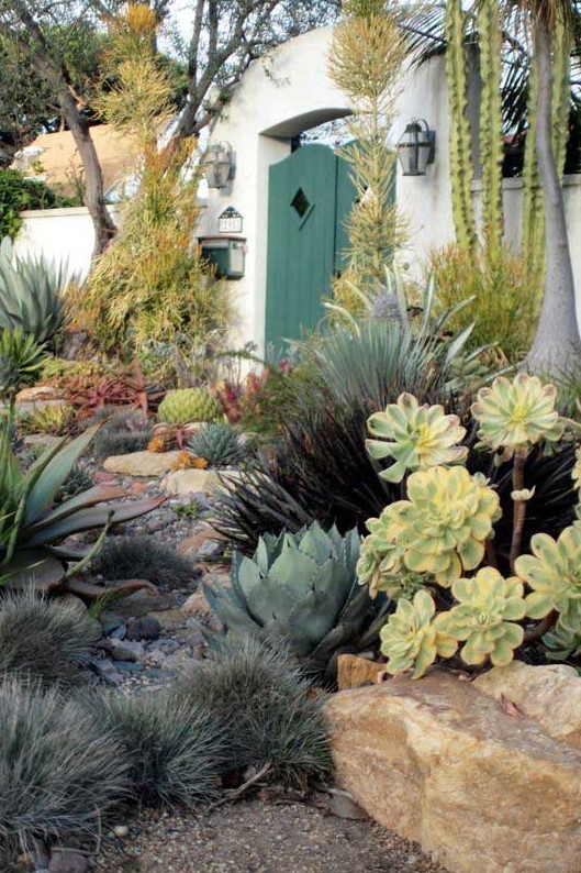 a Spanish style succulent garden with some grasses, cacti, trees and rocks looks gorgeous and will add curb apple to your home