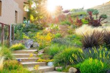 a beautiful low water garden with greenery and blooms that are water-wise and surround a stone staircase looks spectacular