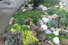 a beautiful sidewalk rock garden is not only easy to maintain but it is also effective for managing water and solving water wastage problems