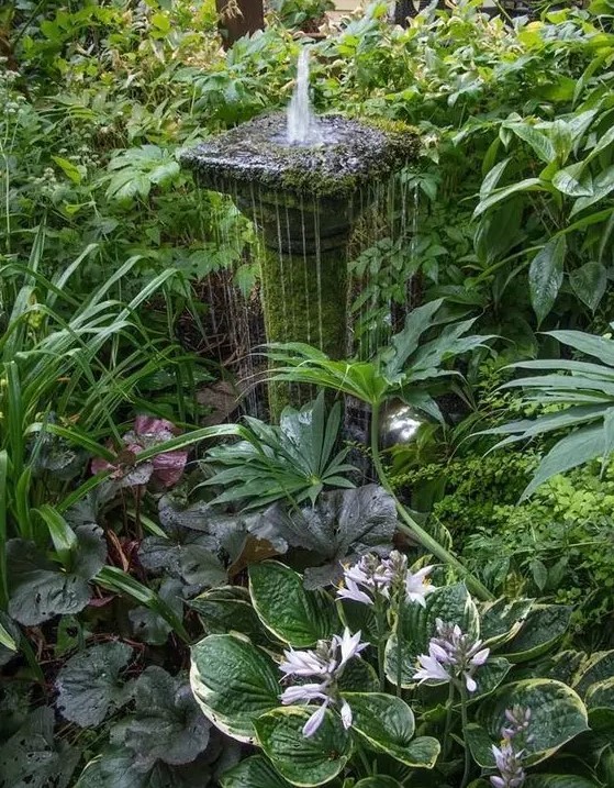 a beautiful stone and moss covered small fountain right in the middle of greenery is a gorgeous idea for a vintage garden