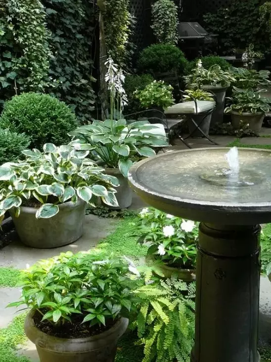 a bowl-like fountain is a beautiful idea for many gardens and backyards, it doesn't take much space but it lets you enjoy the sound of falling water