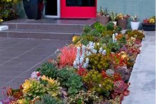 a brigth succulent garden idea would be a great addition to your home that will make everywhere look lively and attractive