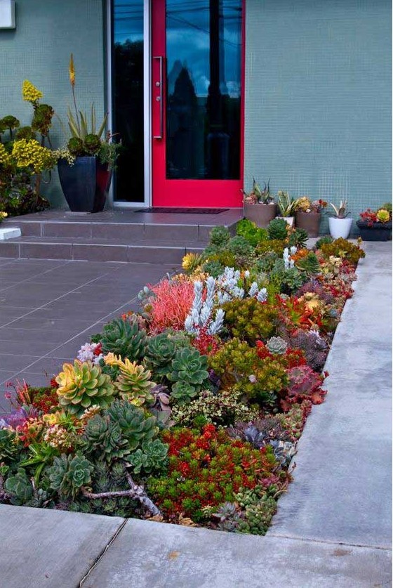 a brigth succulent garden idea would be a great addition to your home that will make everywhere look lively and attractive