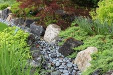a dry stream covered with grey pebbles and with grasses and greenery around for a catchy look