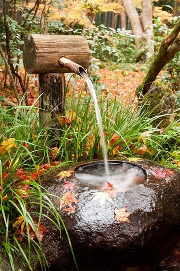 a garden with grasses and bright fall leaves and a wooden take on the traditional Japanese bamboo fountain