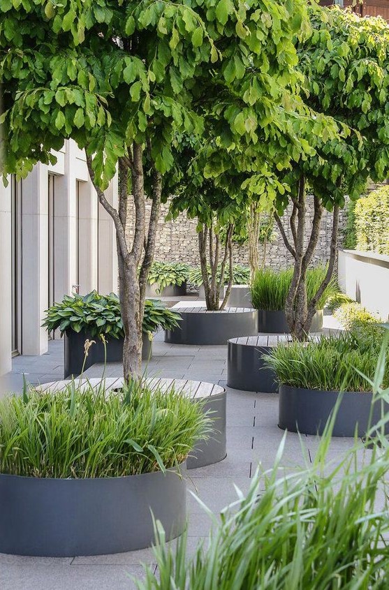 a minimalist townhouse garden with minimal flower beds with grasses and trees with wooden seats
