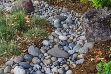 a river rock dry stream with grasses around is a cool and natural decor feature for a low water garden