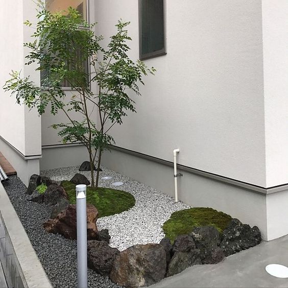 a small front yard Japanese garden with greenery, rocks and pebbles and a single tree is a cool idea to make your entrance more natural