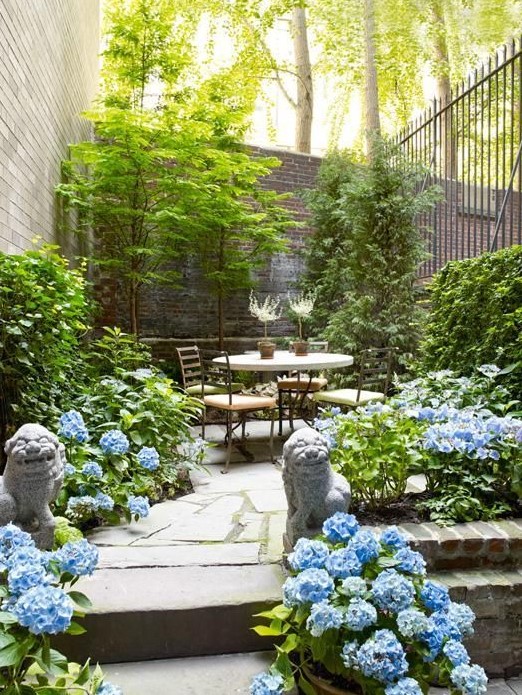 a small townhouse garden with trees, greenery, blue blooms, a contemporary dining set and Asian decor