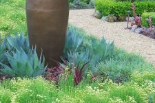 an enchanting low water garden done with succulents of various shades and grasses
