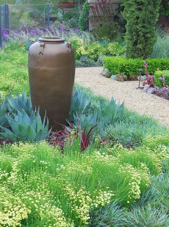 an enchanting low water garden done with succulents of various shades and grasses