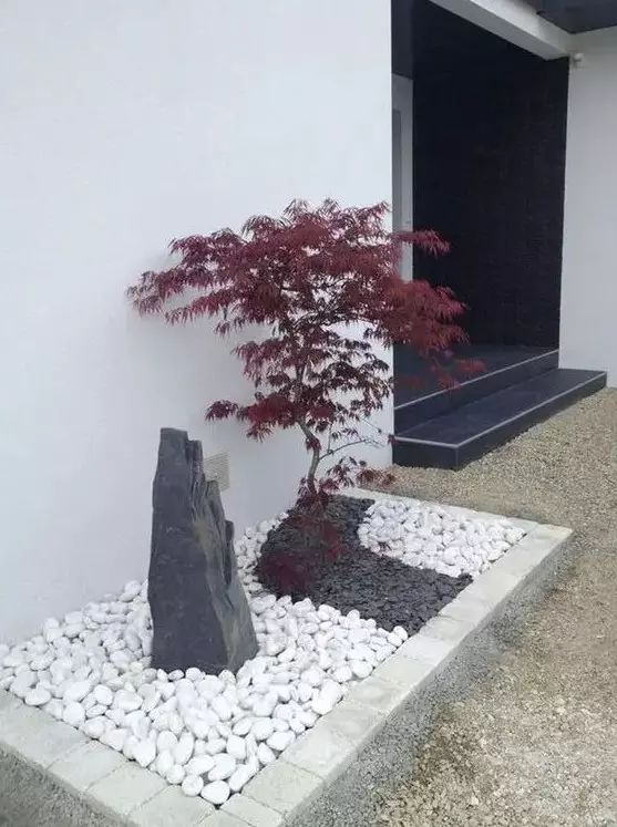 black and white pebbles, a large rock and a red maple mini tree at the entrance will make the space look wow