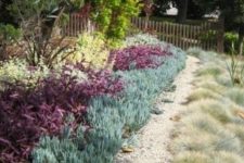 covering the ground with pale succulents and simple grasses create a living tapestry in the front yard