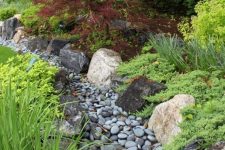 fight poor drainage with a cool dry creek surrounded with grasses and greenery of various kinds