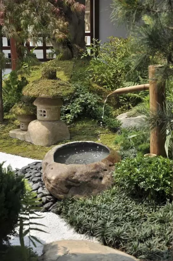 grass and greenery, pebbles, a stone and bamboo fountain, a stone and moss lantern for creating a lovely Japanese space