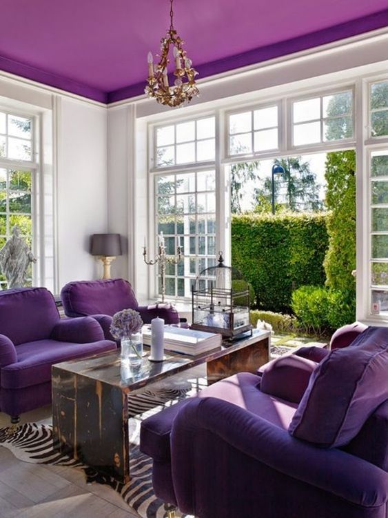 a sophisticated living room with a bold purple ceiling, purple seating furniture, a stained table and animal printed rugs
