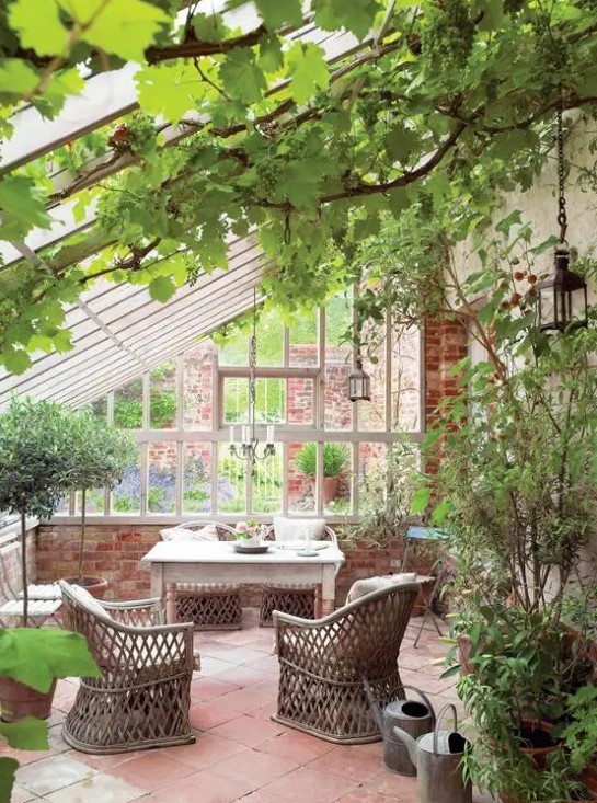 a vintage rustic sunroom with lots of greenery in pots and climbing ones, rattan and wooden furniture