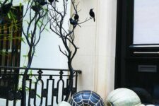 13 black and white pumpkins with polka dots, stripes and spiderwebs and heirloom green ones for Halloween