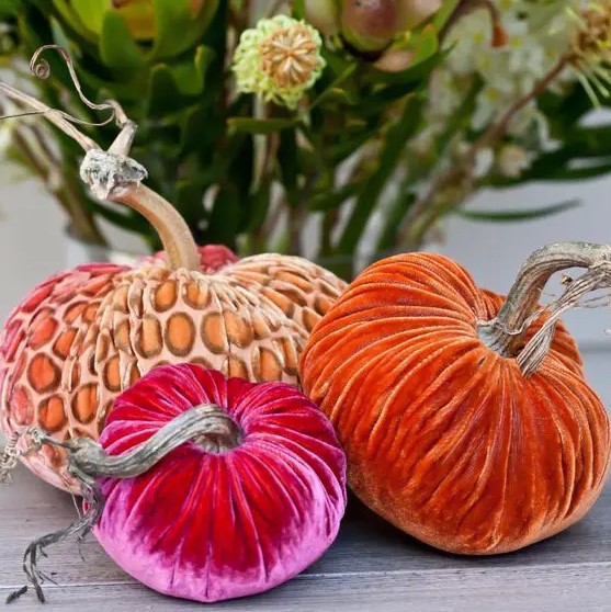 a leopard print, hot pink and rust velvet pumpkins are fun, cool and very chic and bring a touch of luxury