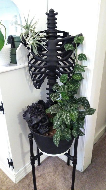 chic modern Halloween decor with a black planter on a piping stand, a black planter, a black skeleton and a skull covered with greenery
