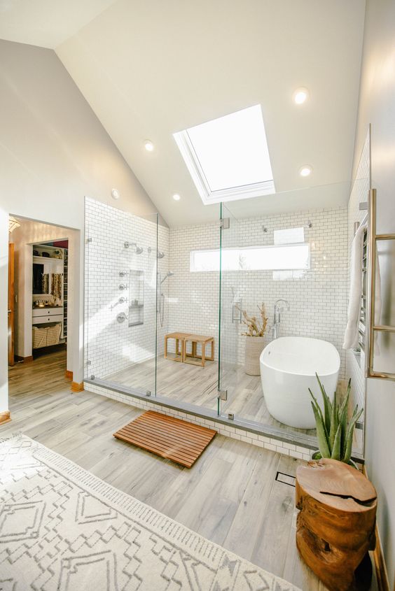 a cozy attic bathroom with a skylight, a shower space and a bathtub space enclosed in glass and potted plants