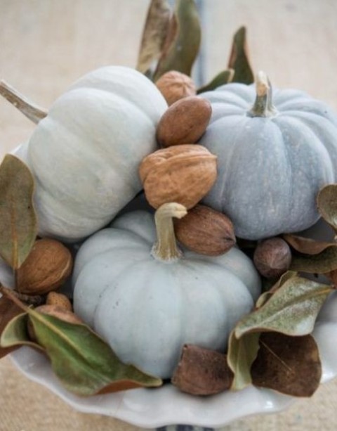 a natural centerpiece of a white bowl with milk paint pumpkins, nuts and foliage is great for Thanksgiving