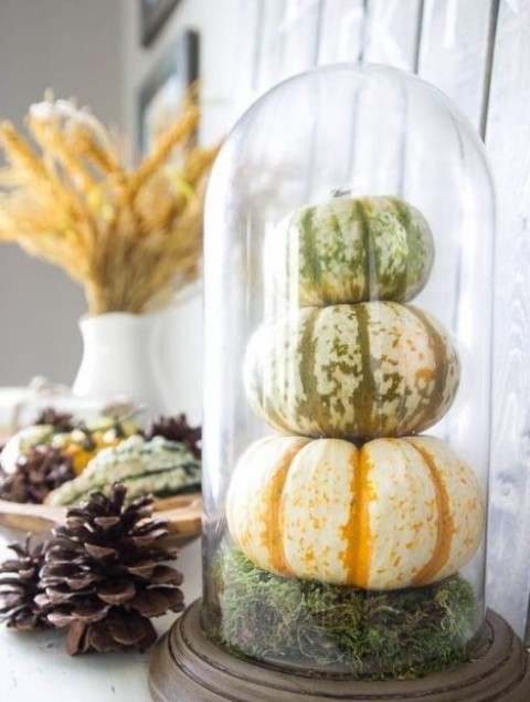 a rustic cloche display with moss and natural pumpkins is ideal for the fall