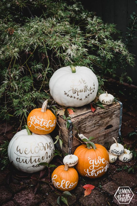 an arrangement of white and orange pumpkins with paint and foiling calligraphu is a cool idea for Thanksgiving