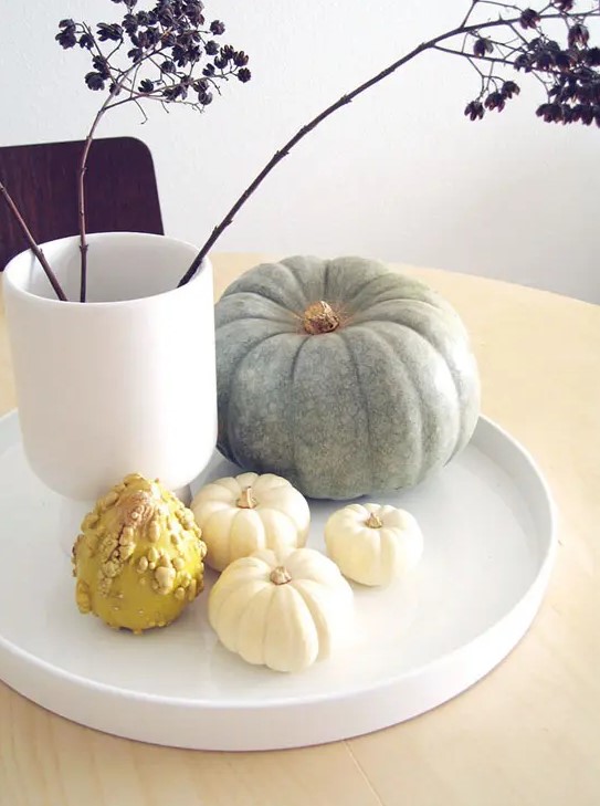 a minimalist Thanksgiving decoration with a white tray, a white vase with dried herbs and natural pumpkins and gourds