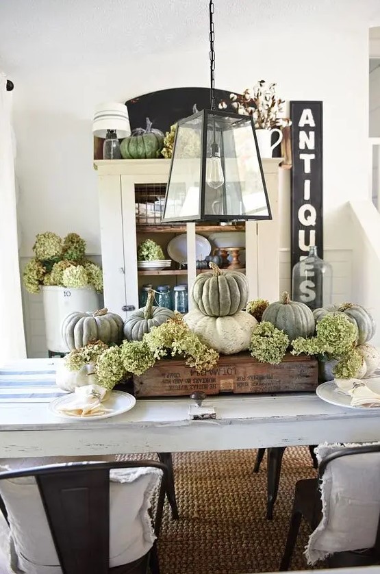a rustic Thanksgiving centerpiece of white and green pumpkins and green hydrangeas in an industrial crate