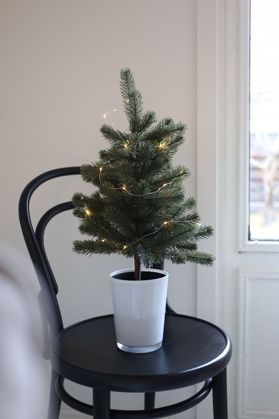 a potted Christmas tree with LED lights and no other decor is a perfect idea for a minimalist holiday space