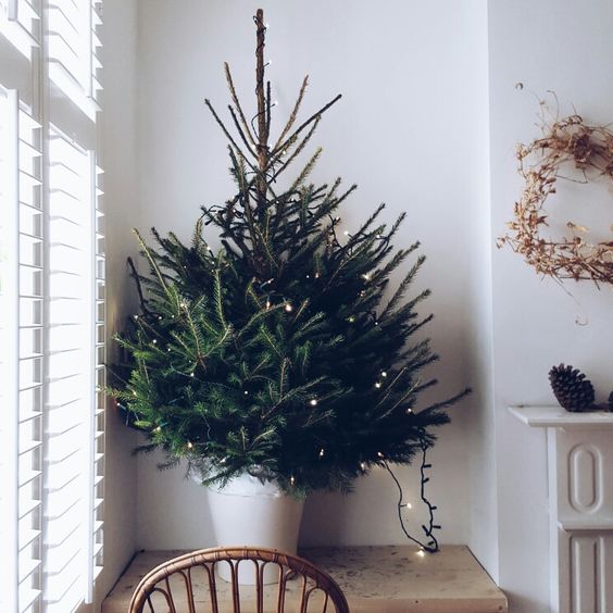 a minimalist tabletop Christmas tree decorated with only lights and nothing else looks fine and chic