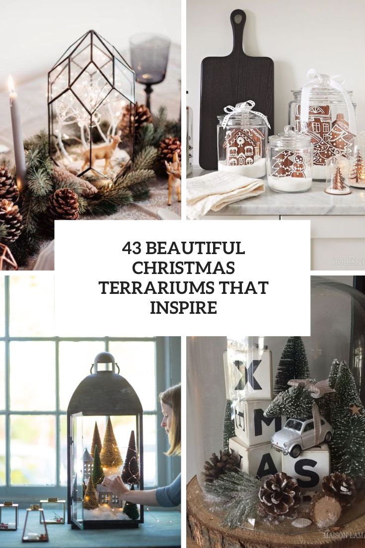 43 Beautiful Christmas Terrariums And Cloches