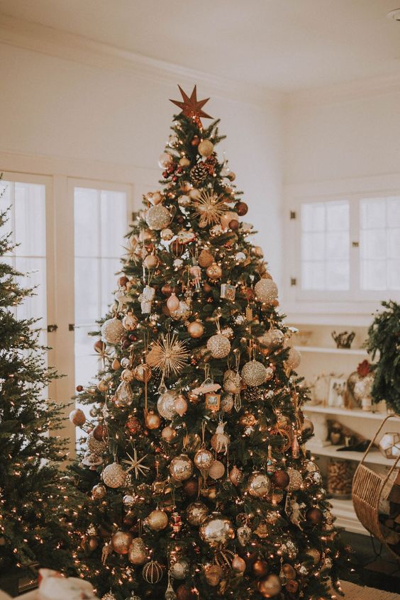 a gorgeous Christmas tree