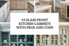43 glass front kitchen cabinets with pros and cons cover