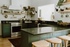 a beautiful mid-century modern kitchen with green lower cabinets and some open shelves, black countertops and potted plants
