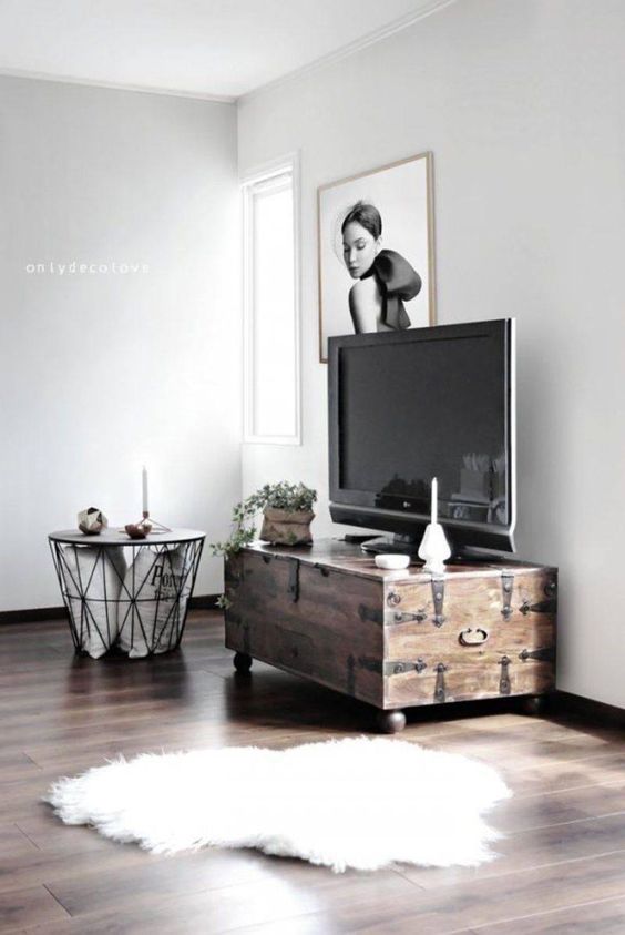 a Scandinavian living room with a stained vintage trunk, a TV, a potted plant, a catchy coffee table with pillow storage