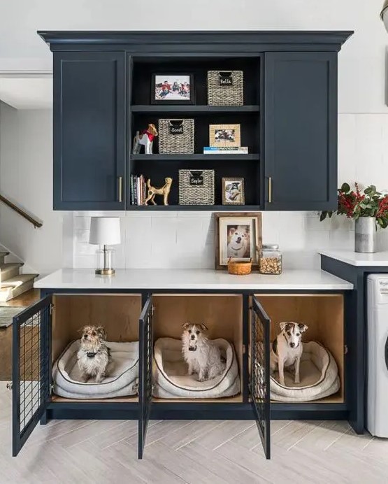 a kitchen with graphite grey cabinetry and a lower cabinet turned into a triple sog crate with soft beds inside