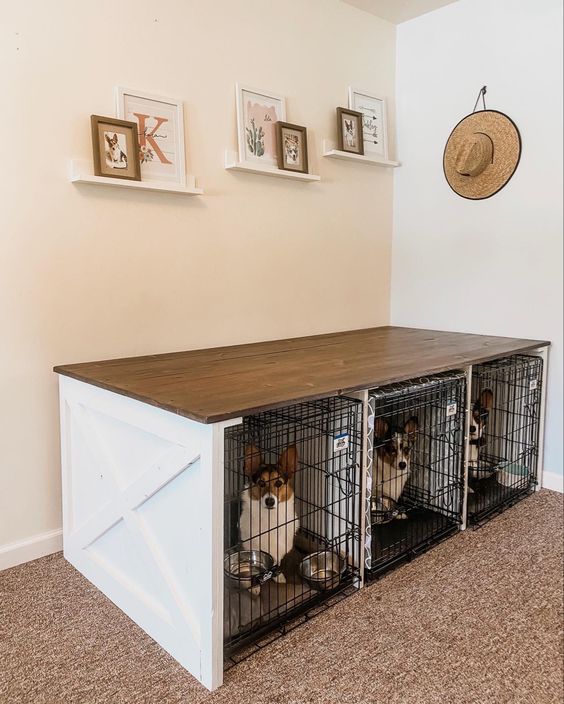 a large farmhouse shared dog kennel with a stained countertop is a cool idea for a mid century modern space