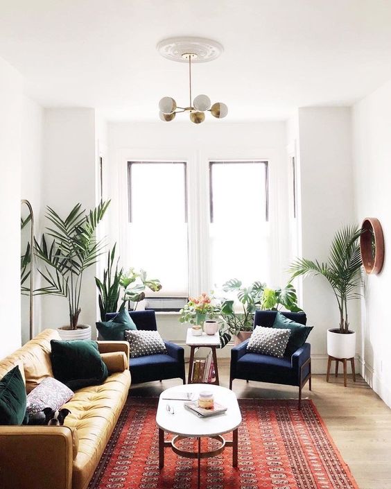 a light-filled livng room with a yellow mid-century modern sofa, navy chairs, a coffee table, lots of potted plants