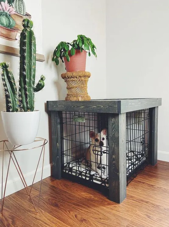a small and cute dog crate with a dark-stained frame doubles as a plant stand and matches the room decor