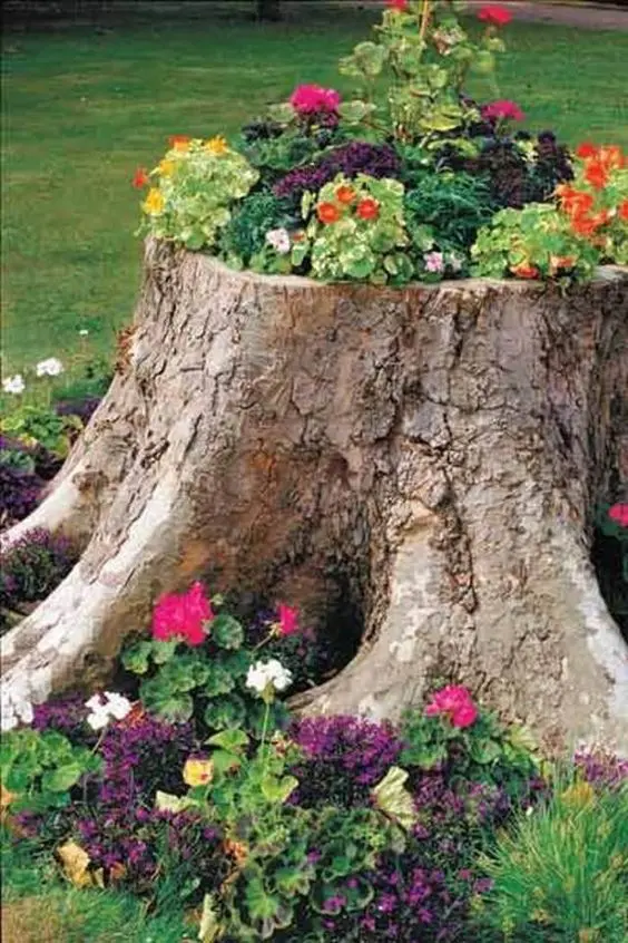 a catchy tree stump planter with bold blooms and greenery, surrounded with them will give your outdoor space a more natural feel