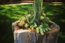 12 a creative tree stump planter with various types of succulents is a lovely idea for a rustic garden or outdoor space, use your old stump to make one