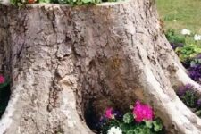15 a large tree stump with greenery and bright blooms is a cool planter alternative – it’s a natural way to repurpose an old stump you don’t need