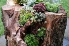 17 a large tree stump with several types of greenery and succulents is a catchy and bold idea for garden styling