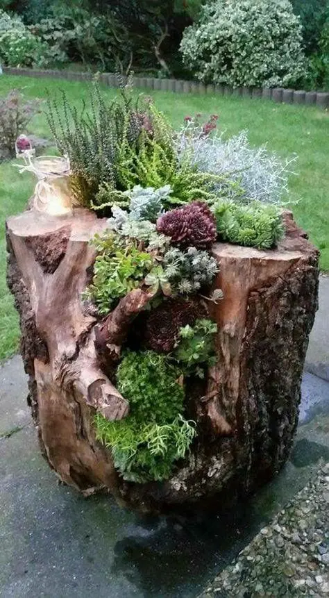 a large tree stump with several types of greenery and succulents is a catchy and bold idea for garden styling