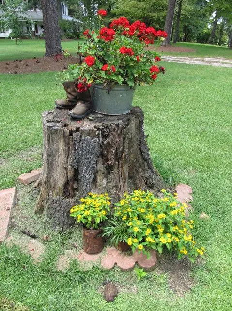 a rustic garden decoration of a tree stump, bright red and yellow blooms in tin cans and bathtubs and old boots is cool
