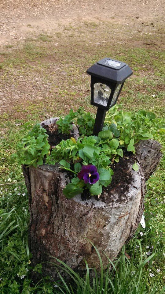 a tree stump as a planter with greenery and bold blooms plus an outdoor lamp built in is a creative and practical idea