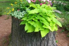 24 a tree stump with greenery and bright blooms is a catchy and stylish decoration for a garden, it’s a bold and cool solution to DIY